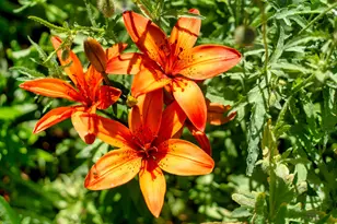 15851 SW Tadpole Ct, Terrebonne, OR 97760 - Photo 23