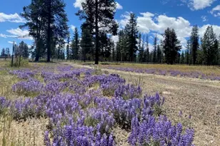 76231 Hwy 31, Fort Rock, OR 97735 - Photo 37