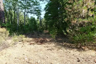 769 Mather Rd, Prospect, OR 97536 - Photo 57