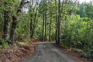 769 Mather Rd, Prospect, OR 97536 - Photo 43