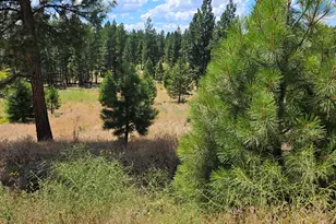 33005 Godowa Springs Rd, Beatty, OR 97621 - Photo 29