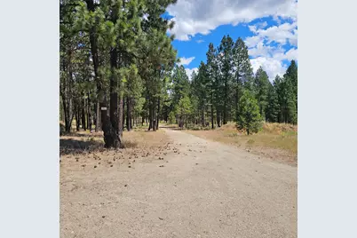 33005 Godowa Springs Road, Beatty, OR 97621 - Photo 35