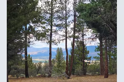 48070 Partin Drive, Beatty, OR 97621 - Photo 5