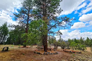 48070 Partin Dr, Beatty, OR 97621 - Photo 19