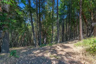 5010 Old Hwy 99 S, Ashland, OR 97520 - Photo 43