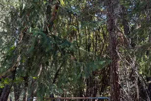 5010 Old Hwy 99 S, Ashland, OR 97520 - Photo 67