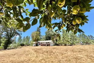 467 Draper Valley Rd, Selma, OR 97538 - Photo 5