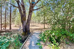 467 Draper Valley Rd, Selma, OR 97538 - Photo 7