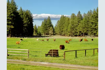 67500 Three Creeks Road, Sisters, OR 97759 - Photo 17