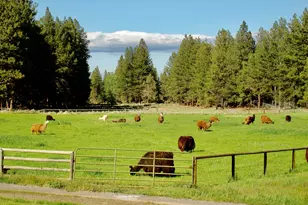 67500 Three Creeks Rd, Sisters, OR 97759 - Photo 17