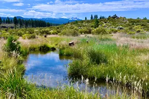 67500 Three Creeks Rd, Sisters, OR 97759 - Photo 7