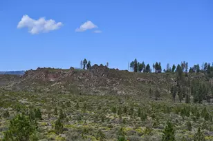 67500 Three Creeks Rd, Sisters, OR 97759 - Photo 19