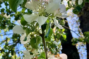 6585 Little Applegate Rd, Jacksonville, OR 97530 - Photo 21