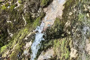 6585 Little Applegate Rd, Jacksonville, OR 97530 - Photo 27