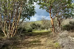 6585 Little Applegate Rd, Jacksonville, OR 97530 - Photo 15