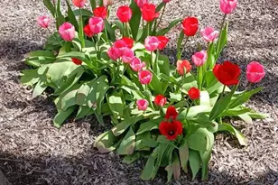 633 E Archwood Dr, Eagle Point, OR 97524 - Photo 29