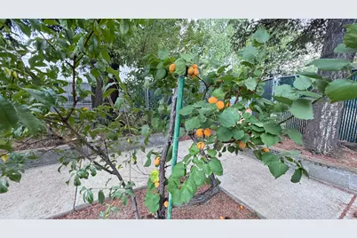 1430 S Oakdale Avenue, Medford, OR 97501 - Photo 41