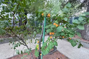 1430 S Oakdale Ave, Medford, OR 97501 - Photo 41