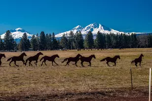 67134 Central St, Bend, OR 97703 - Photo 49