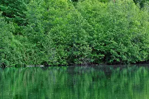 50000 Hwy 62, Prospect, OR 97536 - Photo 9