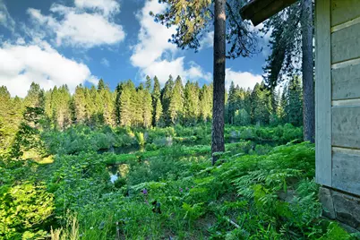 50000 Hwy 62, Prospect, OR 97536 - Photo 43