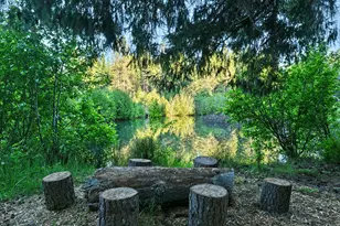 50000 Hwy 62, Prospect, OR 97536 - Photo 15