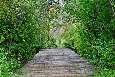 50000 Hwy 62, Prospect, OR 97536 - Photo 3