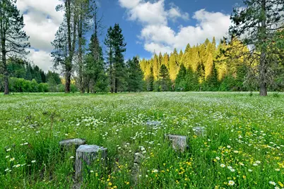 50000 Hwy 62, Prospect, OR 97536 - Photo 7