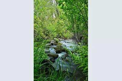 50000 Hwy 62, Prospect, OR 97536 - Photo 17