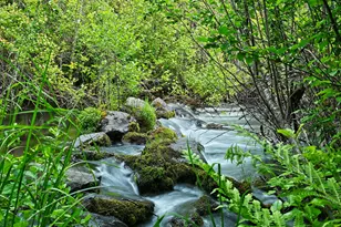 50000 Hwy 62, Prospect, OR 97536 - Photo 17