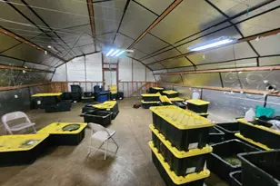 1338 Thompson Creek Rd, Selma, OR 97538 - Photo 21