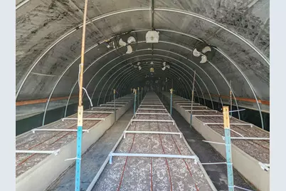 1338 Thompson Creek Road, Selma, OR 97538 - Photo 31