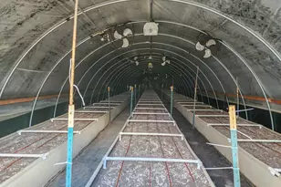 1338 Thompson Creek Rd, Selma, OR 97538 - Photo 31