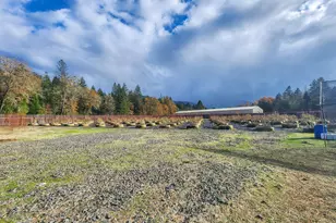 1338 Thompson Creek Rd, Selma, OR 97538 - Photo 33