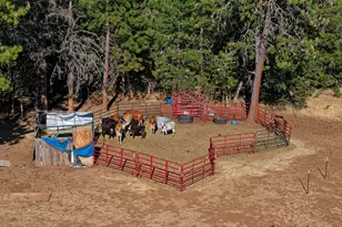 13388 Butte Falls Hwy, Eagle Point, OR 97524 - Photo 43