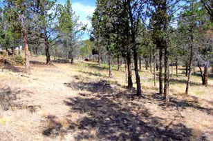 NE Tl 700 Irvine Ave, Prineville, OR 97754 - Photo 15