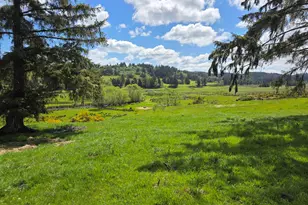 91146 Pioneer Farm Rd, Warrenton, OR 97146 - Photo 5