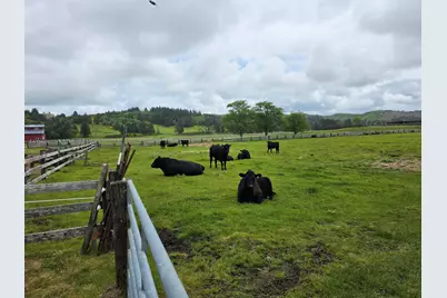 91146 Pioneer Farm Road, Warrenton, OR 97146 - Photo 45