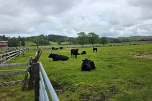 91146 Pioneer Farm Rd, Warrenton, OR 97146 - Photo 45