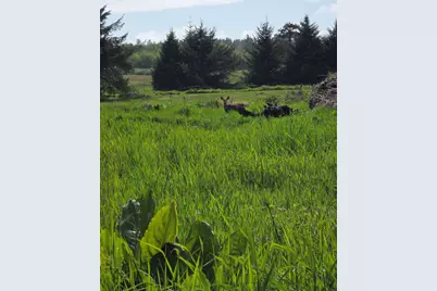 91146 Pioneer Farm Road, Warrenton, OR 97146 - Photo 51