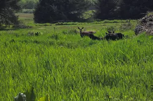 91146 Pioneer Farm Rd, Warrenton, OR 97146 - Photo 51