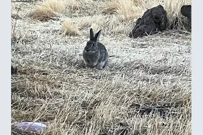 12510 SW Geneva Road, Culver, OR 97734 - Photo 33