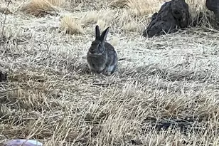 12510 SW Geneva Rd, Culver, OR 97734 - Photo 33