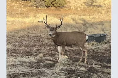 12510 SW Geneva Road, Culver, OR 97734 - Photo 37