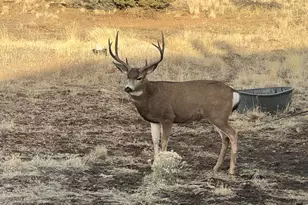 12510 SW Geneva Rd, Culver, OR 97734 - Photo 37