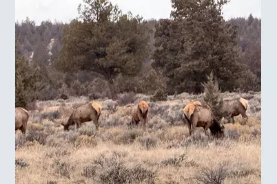 12510 SW Geneva Road, Culver, OR 97734 - Photo 31