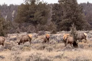 12510 SW Geneva Rd, Culver, OR 97734 - Photo 31