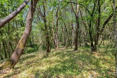 225 Joshua Street, Grants Pass, OR 97526 - Photo 5