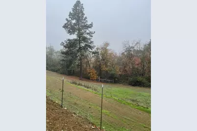 375 Jordan Creek Road, Riddle, OR 97469 - Photo 39