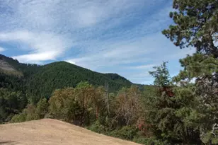 375 Jordan Creek Rd, Riddle, OR 97469 - Photo 37